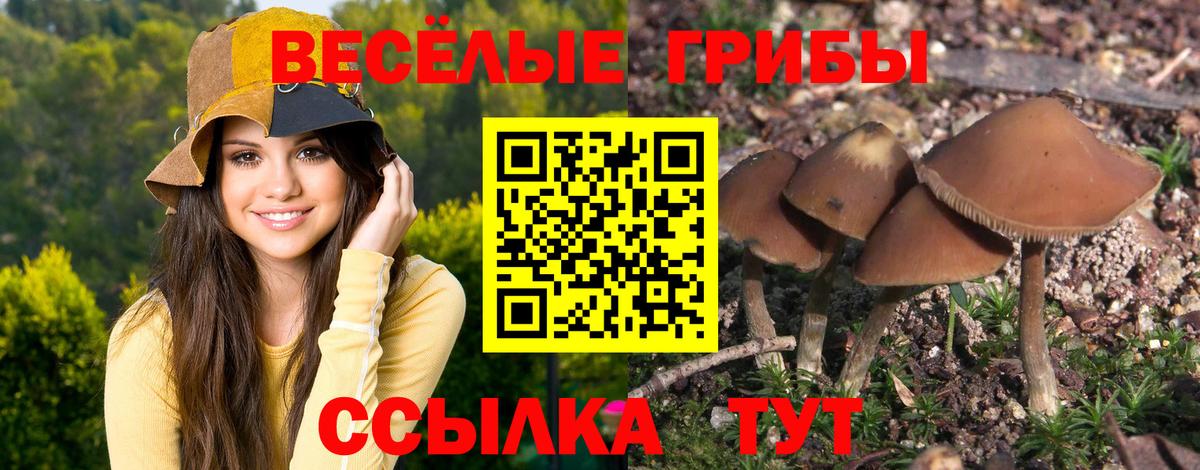 Псилоцибиновые грибы мухоморы Солнечногорск